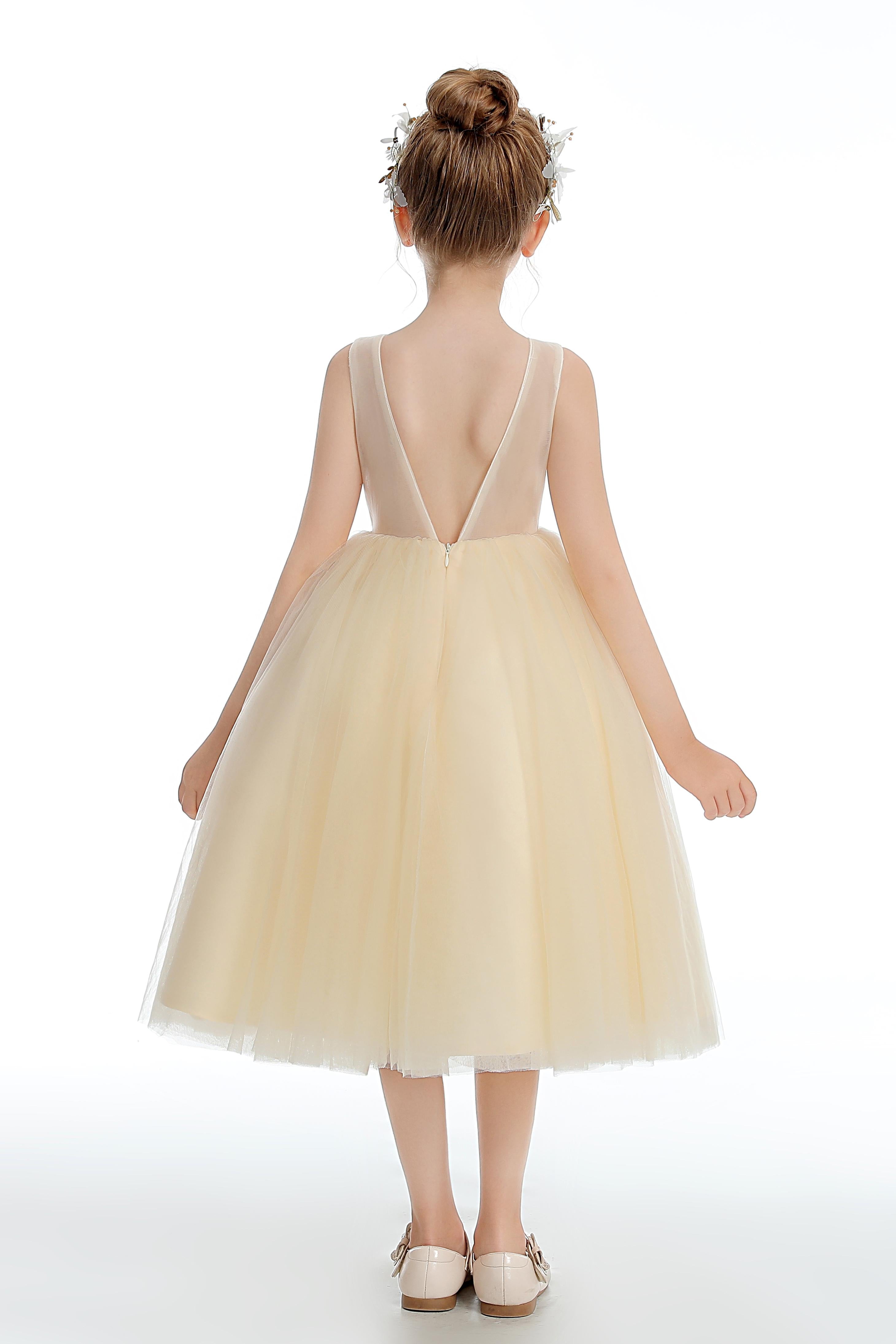 Daffodil Sleeveless V Back Tulle Appliques Flower Girl Dress