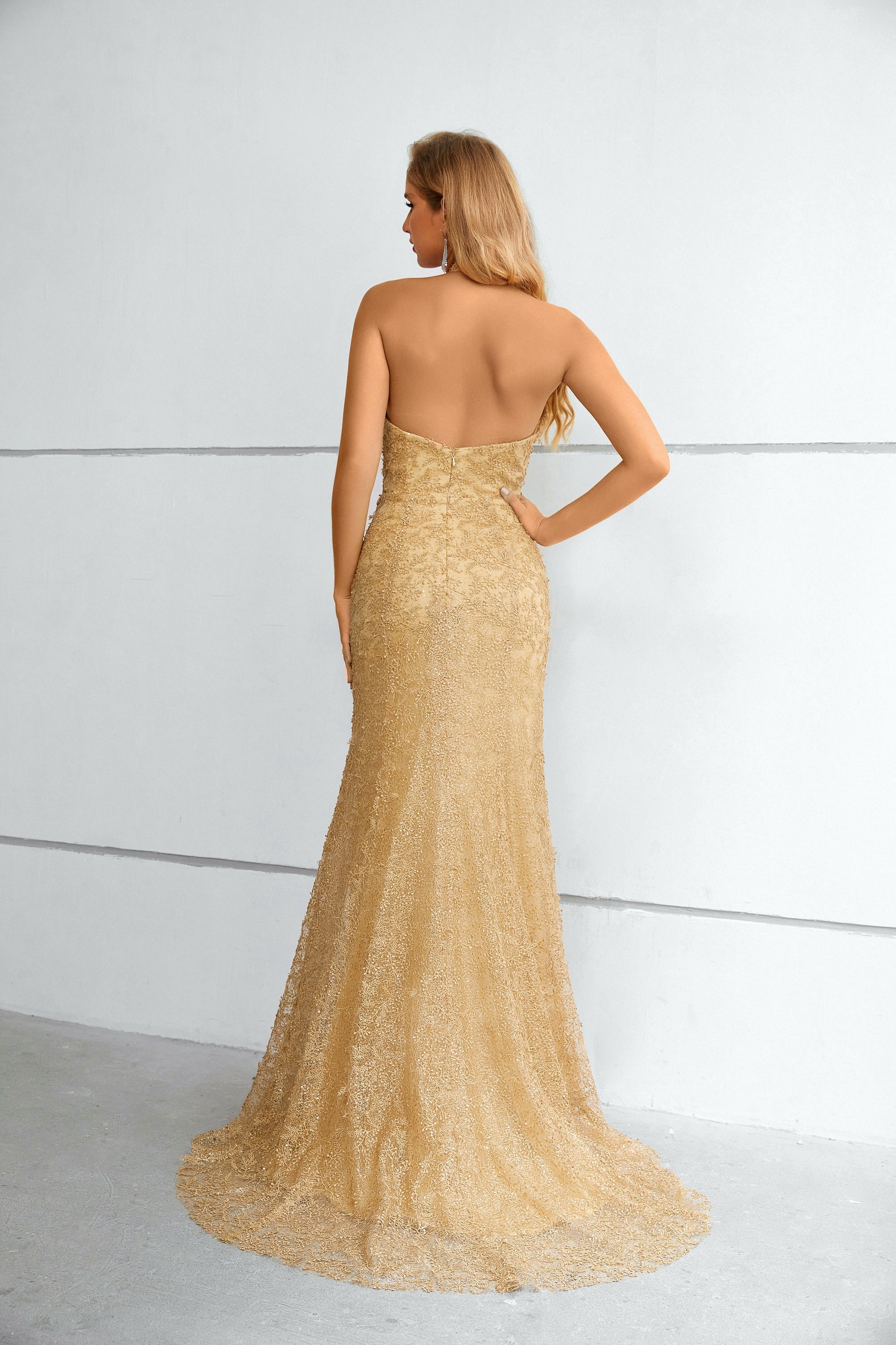 Mermaid Halter Sleeveless Long Lace Prom Dress