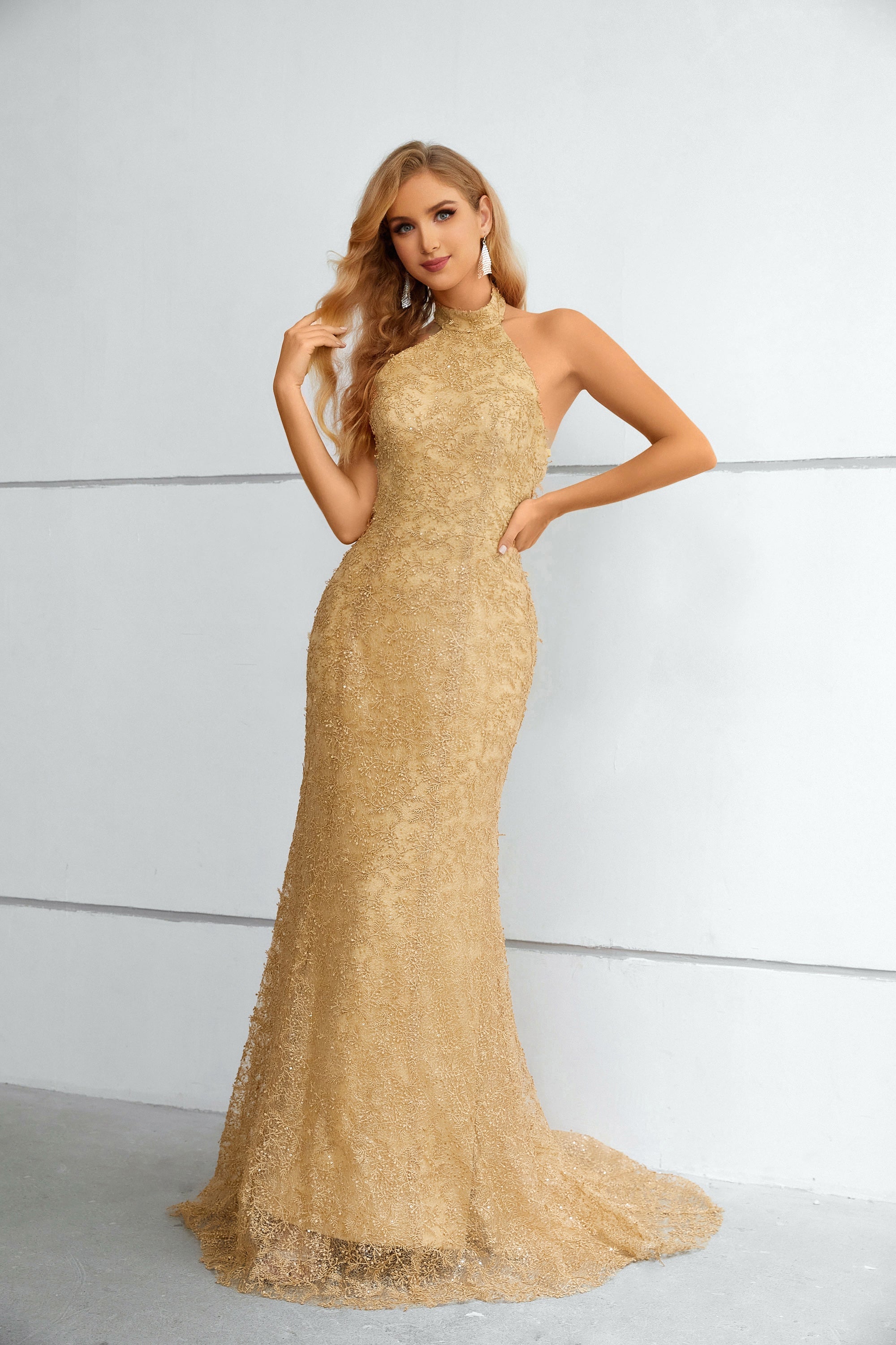 Mermaid Halter Sleeveless Long Lace Prom Dress